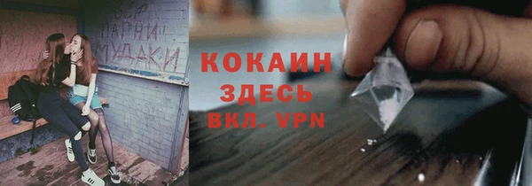 шишки Лабытнанги