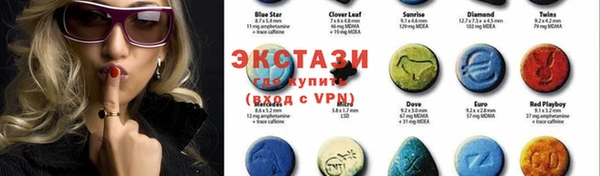 шишки Лабытнанги