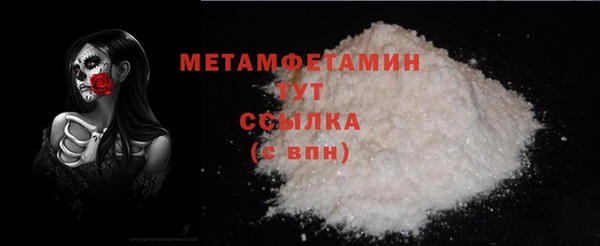 шишки Лабытнанги