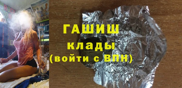 шишки Лабытнанги