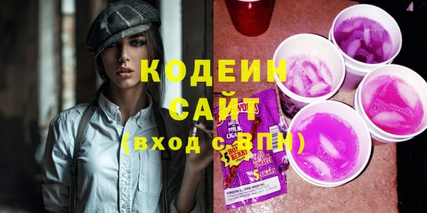 шишки Лабытнанги