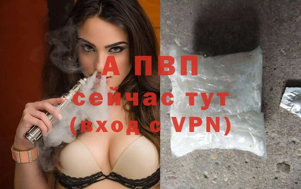 шишки Лабытнанги