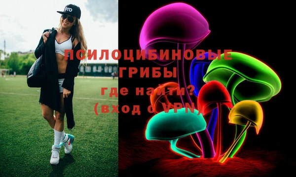 шишки Лабытнанги