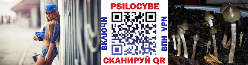 Псилоцибиновые грибы Psilocybine cubensis  Юрга 