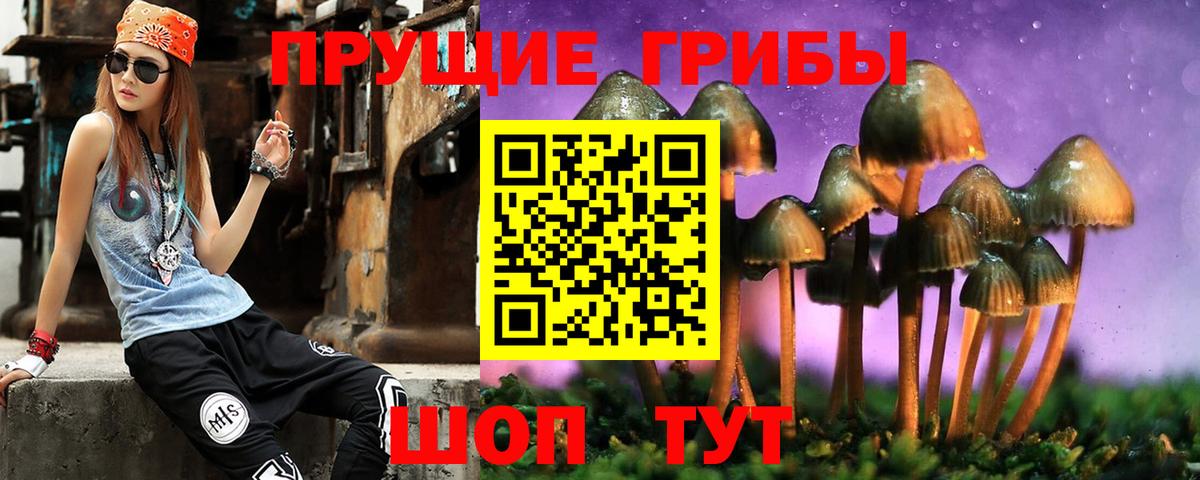 Юрга  Псилоцибиновые грибы Cubensis  Вход с VPN  Псилоцибиновые грибы Psilocybine cubensis 