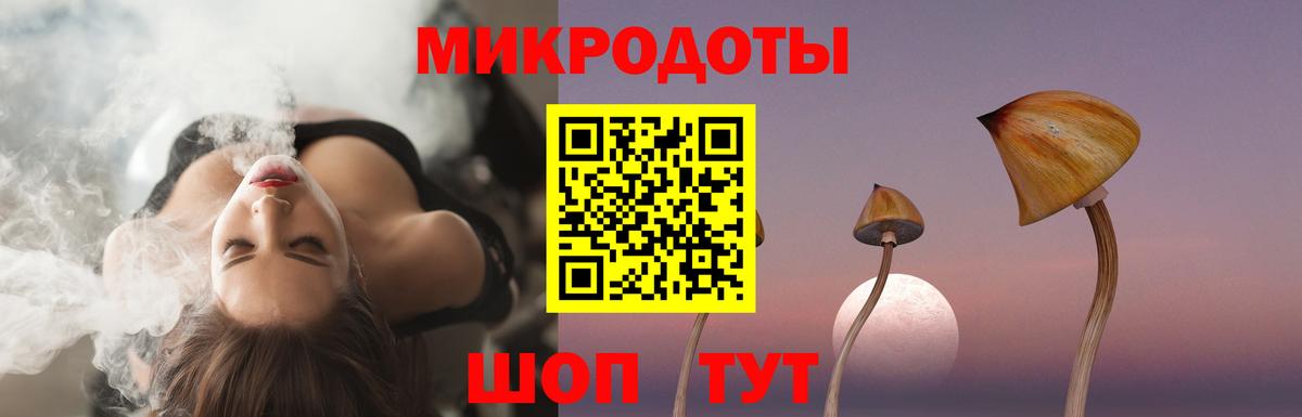 Галлюциногенные грибы Psilocybine cubensis Юрга
